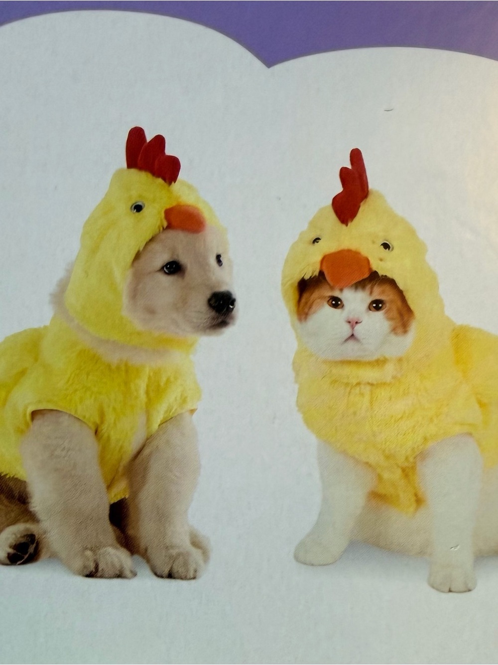 Cute Yellow Chicken/Rooster Halloween Costume for Dog or Cat - Size M